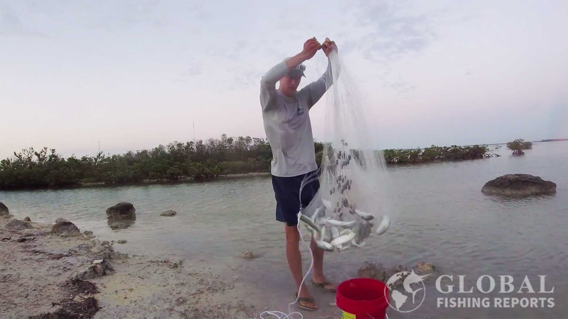 Captain Cody Wabiszewski Catching live mullet for tarpon bait