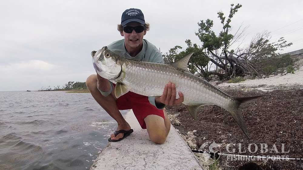 I am holding a nice tarpon I just caught from the shore in South Florida