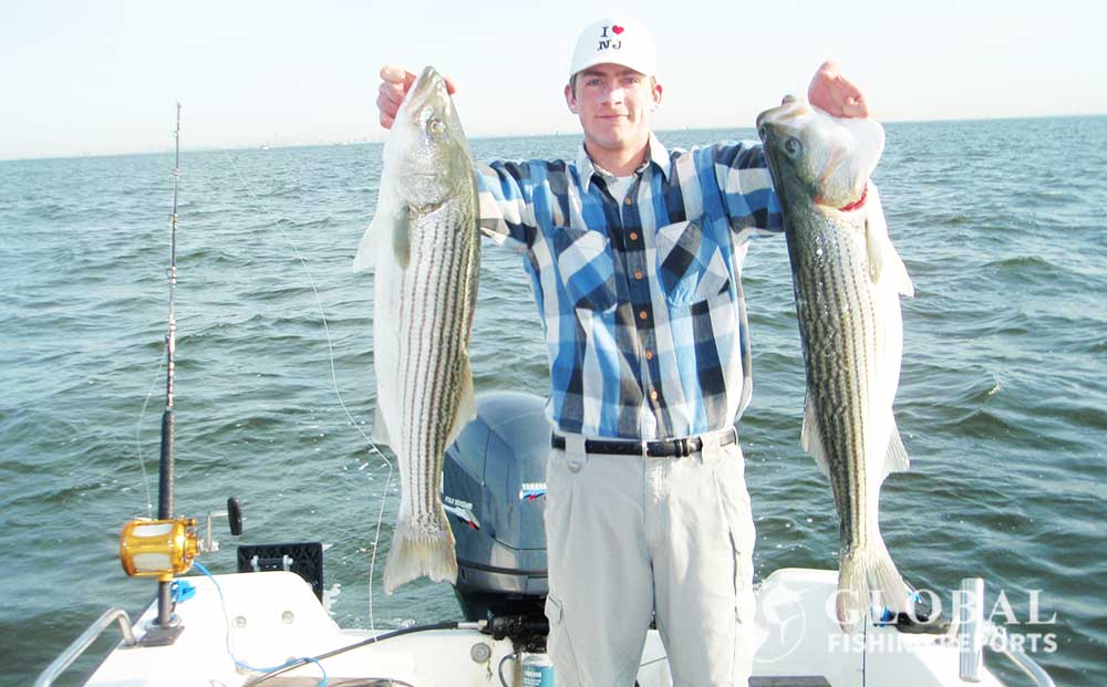 Captaid-Cody-holding-two-large-striped-bass-in-New-Jersey