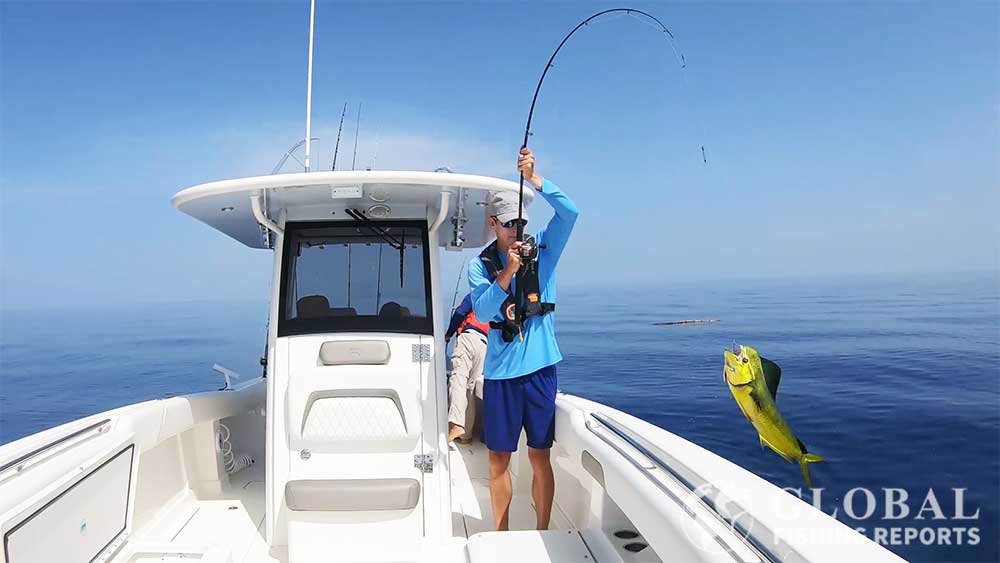 Captain Cody showing how to catch mahi mahi