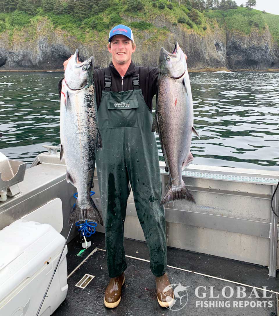 How to catch salmon article
