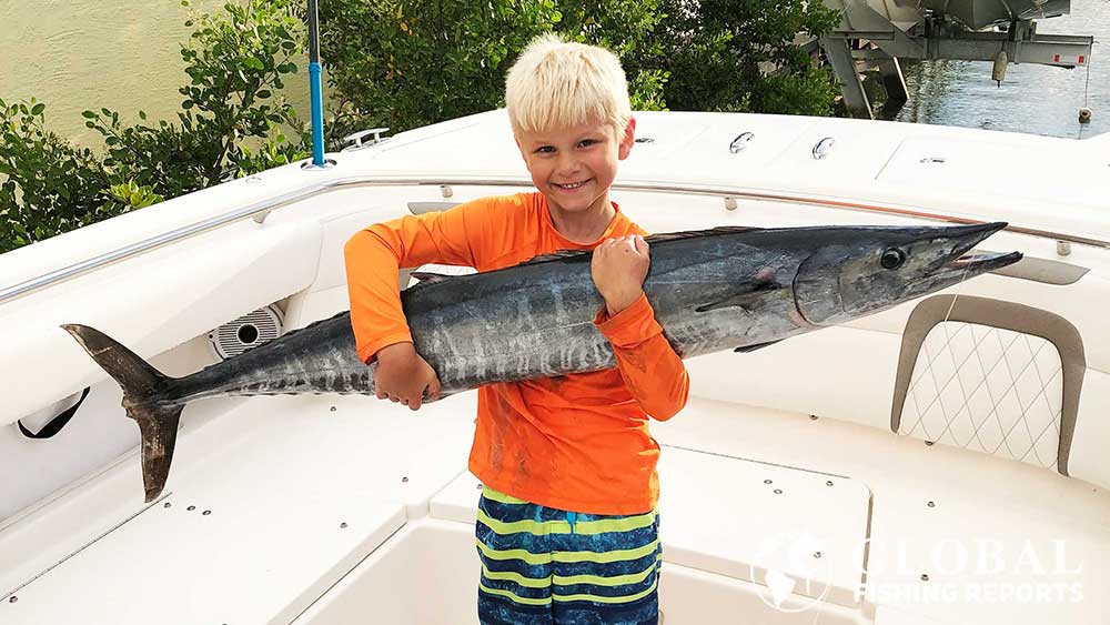 How to catch wahoo article